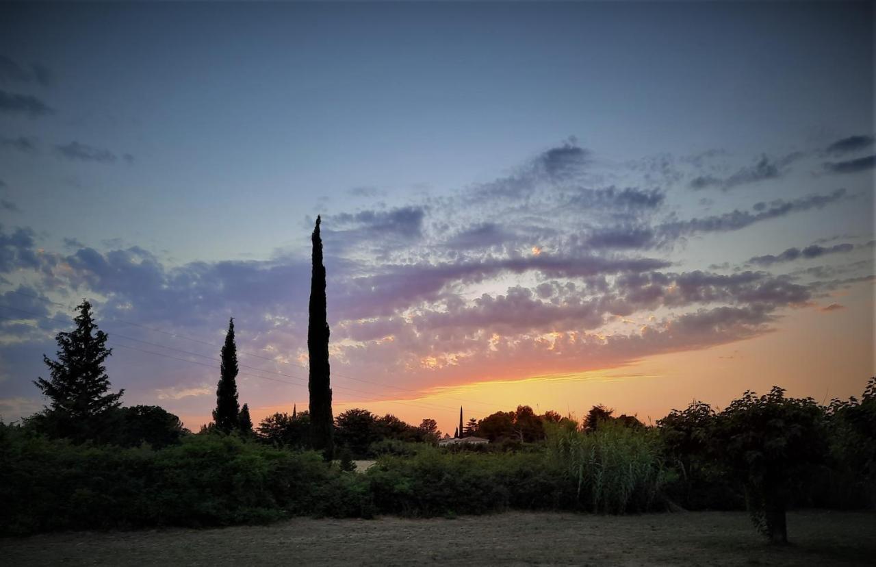 La Maison Du Chemin Des Prairies Morieres-les-Avignon Εξωτερικό φωτογραφία